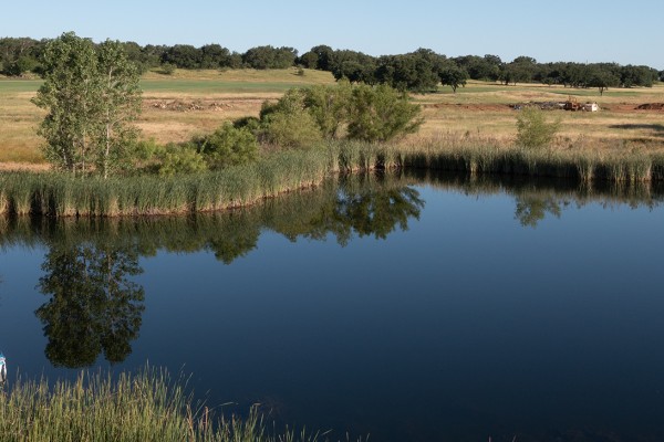 Discover the Perks of Buying Land on a Lake