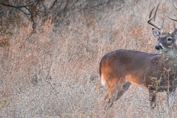 Enjoying Texas Winter Weather at The Hideout Golf Club & Resort